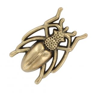Bronze Beetle Pin