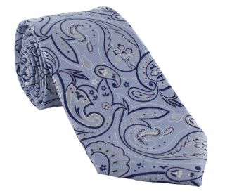 Blue Springtime Paisley Polyester Tie