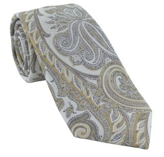 Taupe Luxury Paisley Silk Tie
