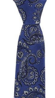 Blue Rib Paisley Silk Tie