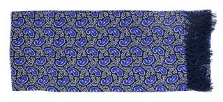 Blue Narrow Small Paisley Silk Scarf