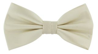 Ivory Polyester Bow Tie