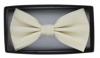 Ivory Polyester Bow Tie