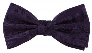 Purple Tonal Paisley Bow Tie