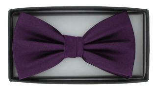 Purple Ready Tied Silk Bow Tie