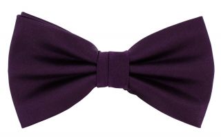 Purple Ready Tied Silk Bow Tie