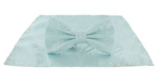 Mint Tonal Paisley Bow Tie & Pocket Square Set