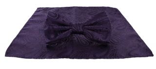 Purple Tonal Paisley Bow Tie & Pocket Square Set