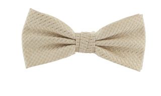 Taupe Semi Plain Bow Tie & Pocket Square Set
