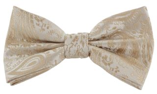 Taupe Tonal Paisley Bow Tie & Pocket Square Set