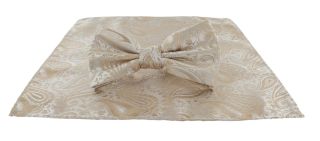 Taupe Tonal Paisley Bow Tie & Pocket Square Set