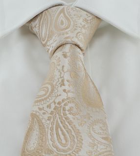 Taupe Tonal Paisley Tie & Pocket Square Set